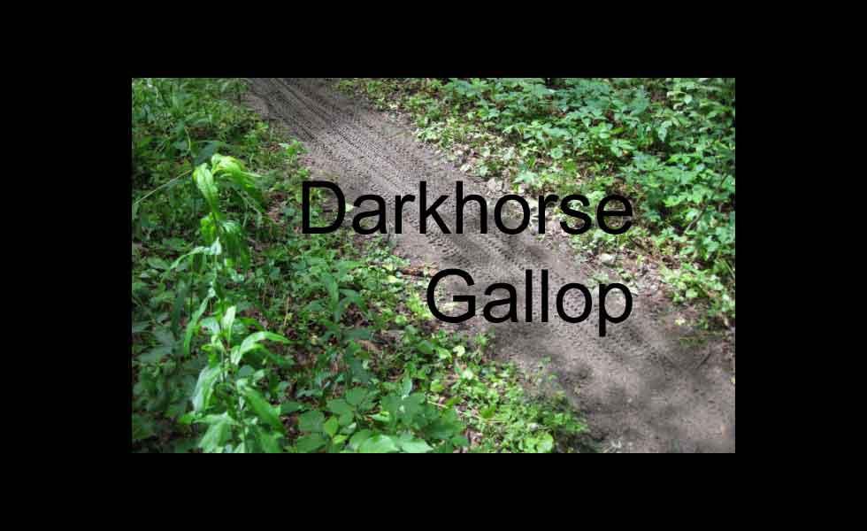 Darkhorse Gallop 2009