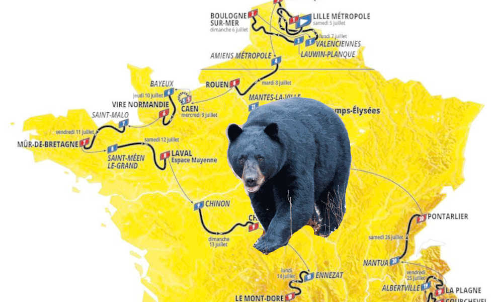 Tour de Bear