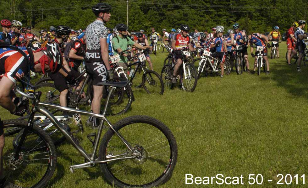 Bearscat50 images